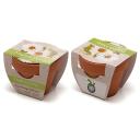 Image of Standard Growing Gift